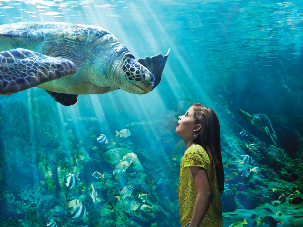 SeaWorld Abu Dhabi